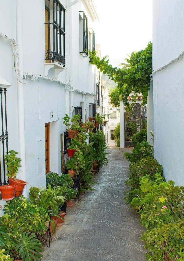El Hechizo Del Bailon Guest House Zuheros Eksteriør bilde
