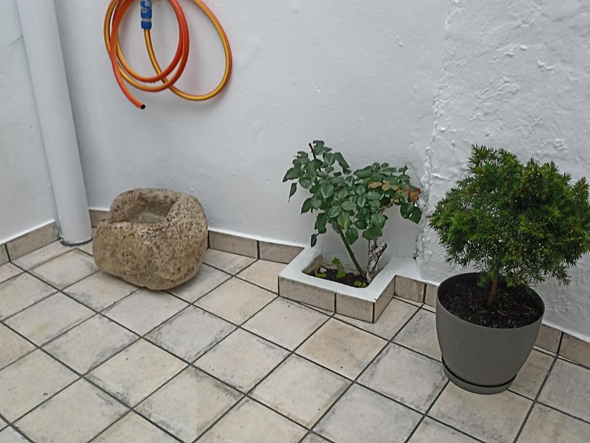 El Hechizo Del Bailon Guest House Zuheros Eksteriør bilde